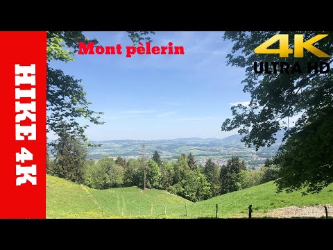 4K - Hike - Montreux - Mont Pèlerin - Switzerland