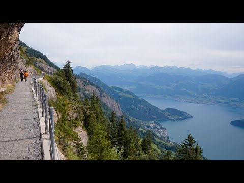Walking on the Rigi Panoramaweg in Switzerland 🇨🇭