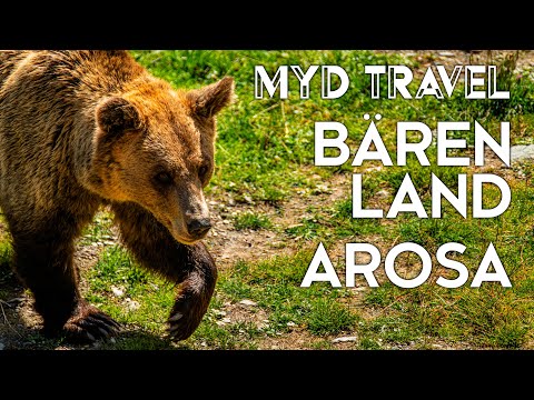 Bärenland Arosa - Schweiz | MYD Travel - Folge 28 [4K]
