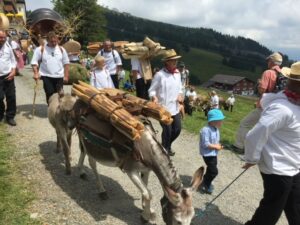 Alpine procession tradition