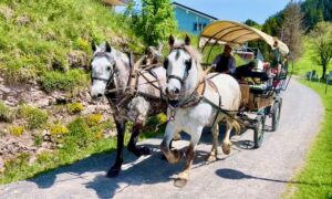 Experience pure romance with a Rigi carriage ride