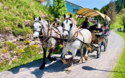 Rigi experience with horse-drawn carriage rides