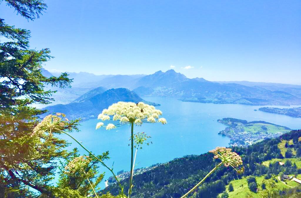 Rigi Queen of the mountains with 360° panoramic views