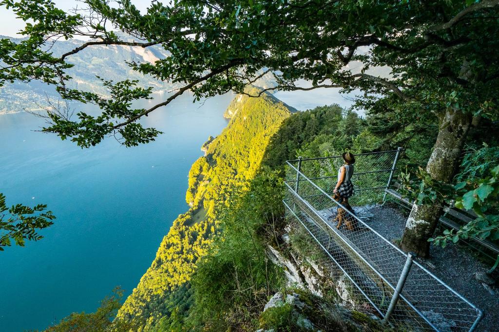 Rocky path with Hammetschwand lift