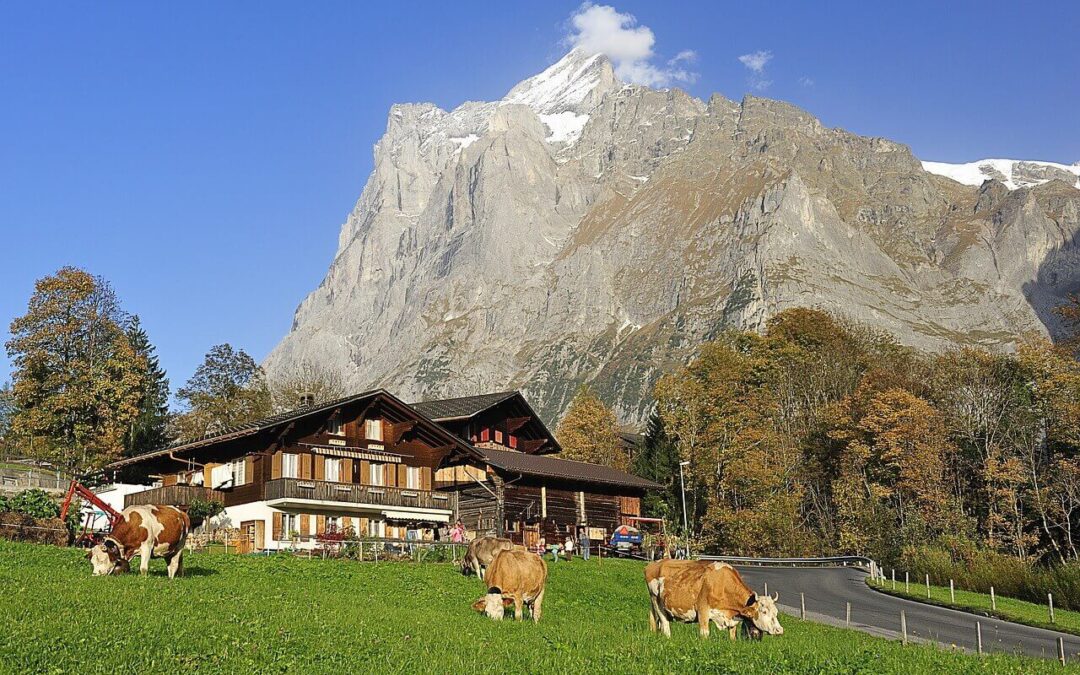 Grindelwald – magical and charming