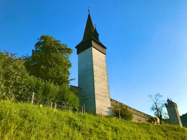 Luegisland Tower