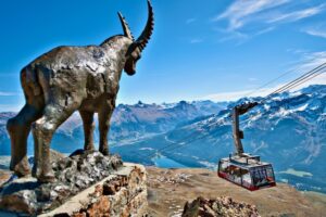Piz Nair cable car with ibex