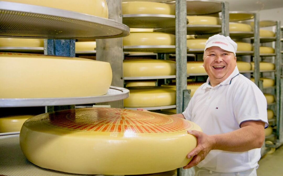Emmental cheese – king of cheeses