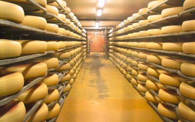 Emmental show dairy – the most famous cheese in the world