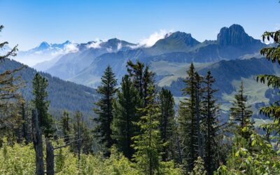 Gantrisch Panorama Trail – natural and unique