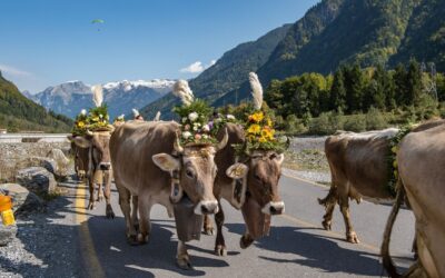 Glarus – Alpine idyll and tradition
