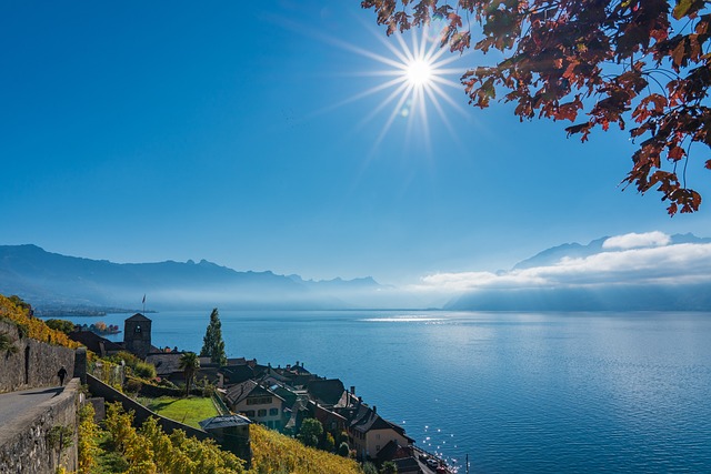 Lavaux Lake Geneva