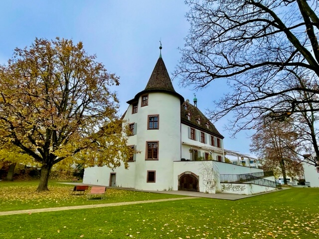 Schloss Binningen