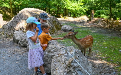 Natur- und Tierpark Goldau – romantisch und hautnah