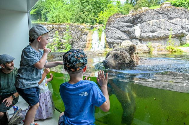 Goldau Zoo Bear family photo shoot © Tierpark Goldau