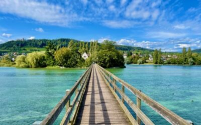 Insel Werd – idyllisches Bodenseejuwel