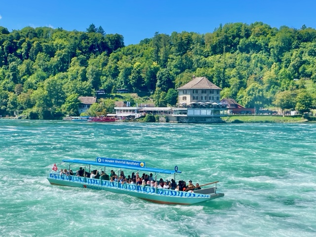 Rhine Falls with Wörth Castle and round trip