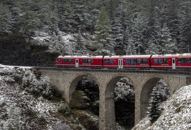 Bernina Express mit Land-Wasser-Viadukt