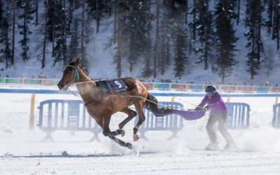 Internationale Pferderennen bei White Turf St. Moritz