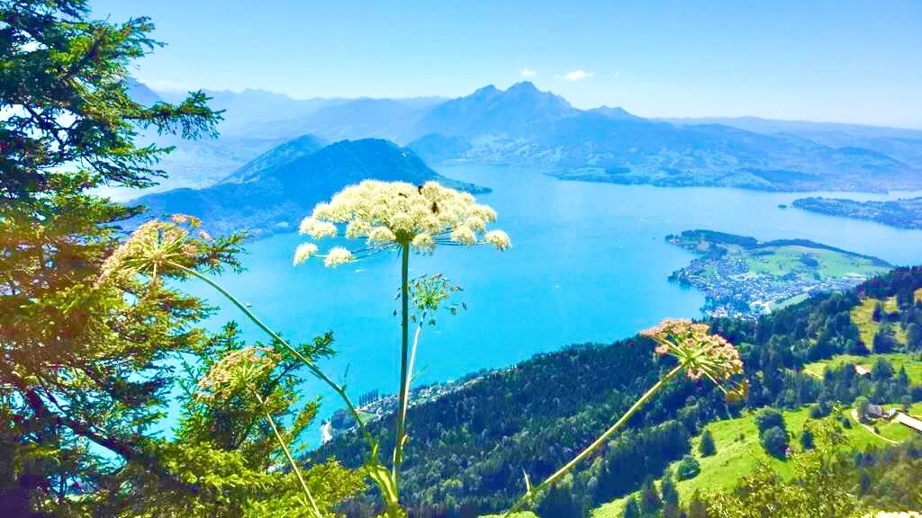 Rigi Viewpoint – Queen of the Mountains