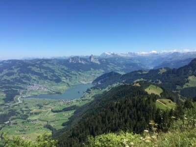 Aussicht Rigi-Scheidegg auf Lauerzersee